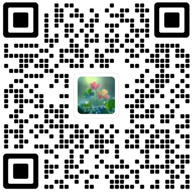 科学与社会杂志模板